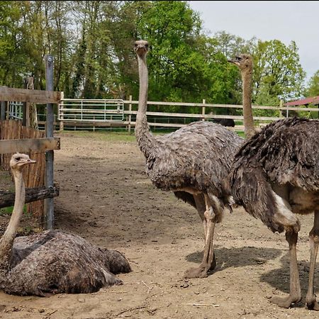 Gaestewohnung Hardinghaus Am Teich Warendorf Exteriör bild