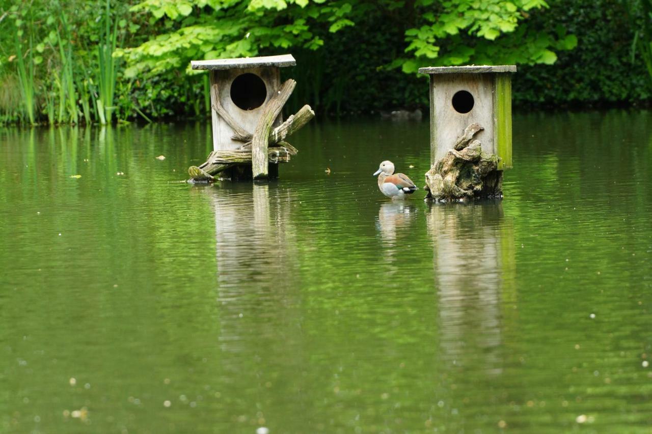 Gaestewohnung Hardinghaus Am Teich Warendorf Exteriör bild