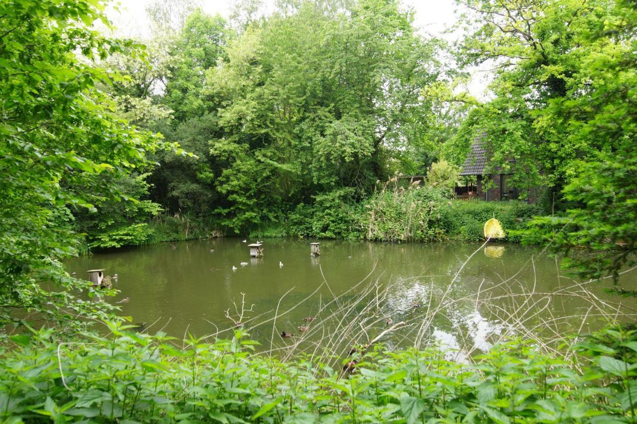 Gaestewohnung Hardinghaus Am Teich Warendorf Exteriör bild
